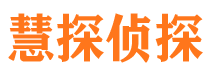 乐东侦探公司